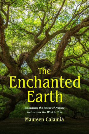 the-enchanted-earth-book-cover